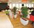 Linik Tall Spirit Planters - modern tapered planter 3