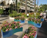 Curvy Trough - curved lightweight fibreglass planters - on this page