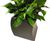 Curvy - Desktop contemporary curved mini desktop planters 7
