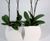 Curvy - Desktop contemporary curved mini desktop planters 5