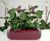 Curvy - Desktop contemporary curved mini desktop planters 3