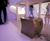 Jayne Furniture Curvy Planters - indoor outdoor planter and table set 4