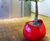 Avant-Garde - Blob contemporary indoor tree planters 4