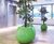 Avant-Garde - Blob contemporary indoor tree planters 7