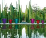 Bill Avant-Garde - fibreglass contemporary plant pots