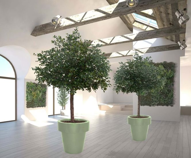 Bill Avant-Garde - contemporary fiberglass flowerpot planter