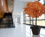 Avant-Garde - Ben contemporary geometric fibreglass planters - on this page