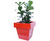 Avant-Garde - Ben contemporary geometric fibreglass planters 1
