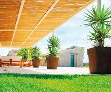 Avant-Garde - Ben contemporary outdoor tree planters
