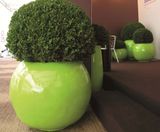 Sphere Ceramic Style - fibreglass spherical planter bowls - on this page