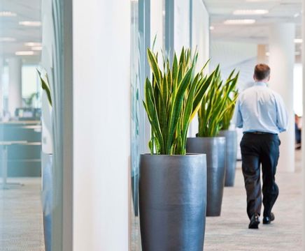 Ceramic Style - Cleopatra lightweight indoor planters