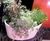 Cleopatra Ceramic Style - outdoor fibreglass planters 1