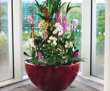 Ceramic Style - Bodacia lightweight GRP indoor planters