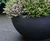 Bodacia Ceramic Style - fibreglass, ceramic-look planters 9