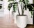 Bodacia Ceramic Style - fibreglass, ceramic-look planters 6