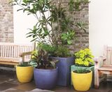 Bodacia Ceramic Style - fibreglass, ceramic-look planters - on this page
