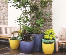 Bodacia Ceramic Style - fibreglass, ceramic-look planters