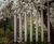 Tubular Bells Outdoor Chimes 5