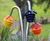 Harmony Bells Outdoor Musical Flowers 3