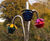 Harmony Bells Outdoor Musical Flowers 4