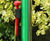 Calypso Chimes for Outdoor Musical Play Areas 5