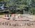 Outdoor musical playgrounds for 8 schools, Nebraska USA  8