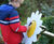 Petal Drums to Brighten Sensory Playgrounds 2