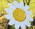 Daisy Outdoor Tongue Drum  3