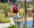Teen Inspires Musical Memorial Garden Edinburgh Hospital 0