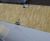 Hoardfast Firescreen - 60-minute fire-resistant hoarding 2