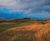 J Links salt-tolerant seed mix for golf greens, tees and fairways 1