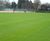 Renovation of grass surfaces - Northern Lawn Tennis Club 1