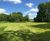 Bespoke grass seed selection for golf course extension 1