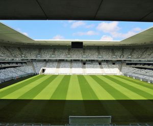 European football on Johnsons Sport Seed / DLF turf