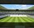 European football on Johnsons Sport Seed / DLF turf 0
