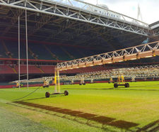 Sports seed used to prepare UEFA Champions League pitch
