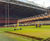 Sports seed used to prepare UEFA Champions League pitch 0