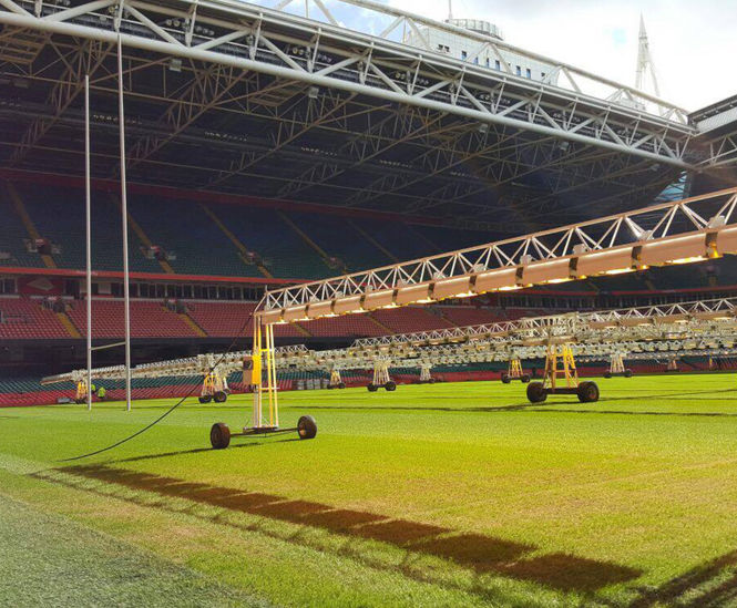 Sports seed used to prepare UEFA Champions League pitch