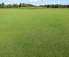 Biodiverse golf course greens created using J All Bent