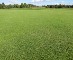 Biodiverse golf course greens created using J All Bent
