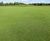 Biodiverse golf course greens created using J All Bent 0