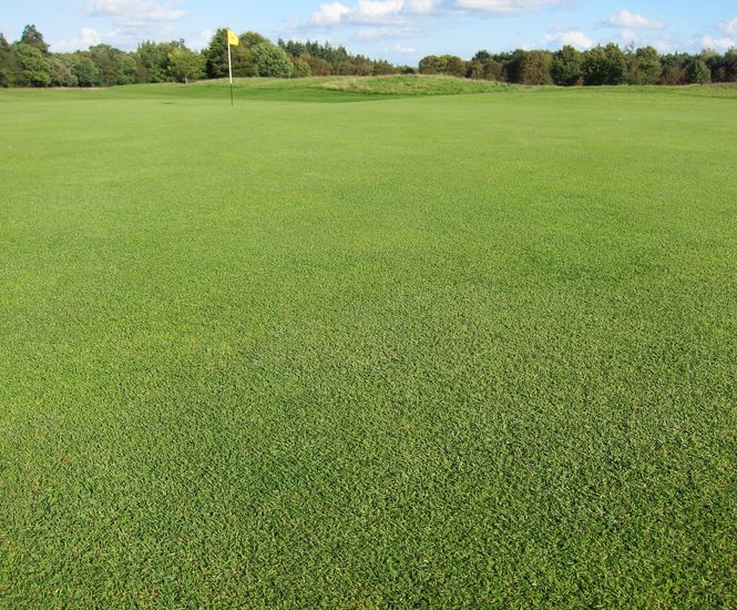 Biodiverse golf course greens created using J All Bent