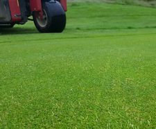 Bent grass programme for Waterton Park Golf Club