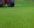 Bent grass programme for Waterton Park Golf Club 0