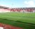New pitch for Rotherham United FC 0
