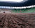 Turf for Ferencváros Stadium, Hungary 0