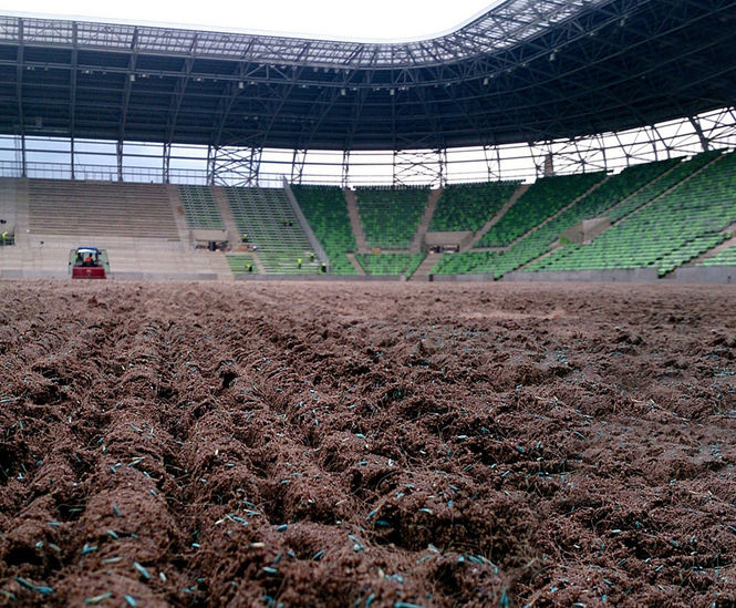 Turf for Ferencváros Stadium, Hungary