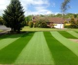Premier league turf for Bolton garden - on this page