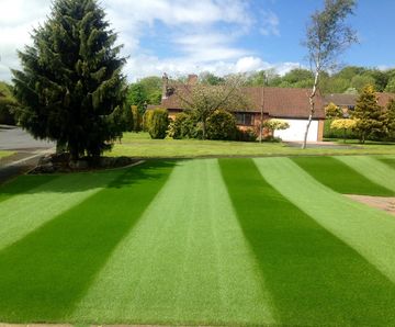 Premier league turf for Bolton garden