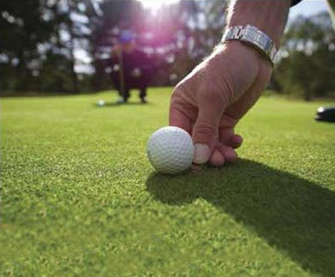 J Premier Green grass seed for golf greens Johnsons Sports Seed